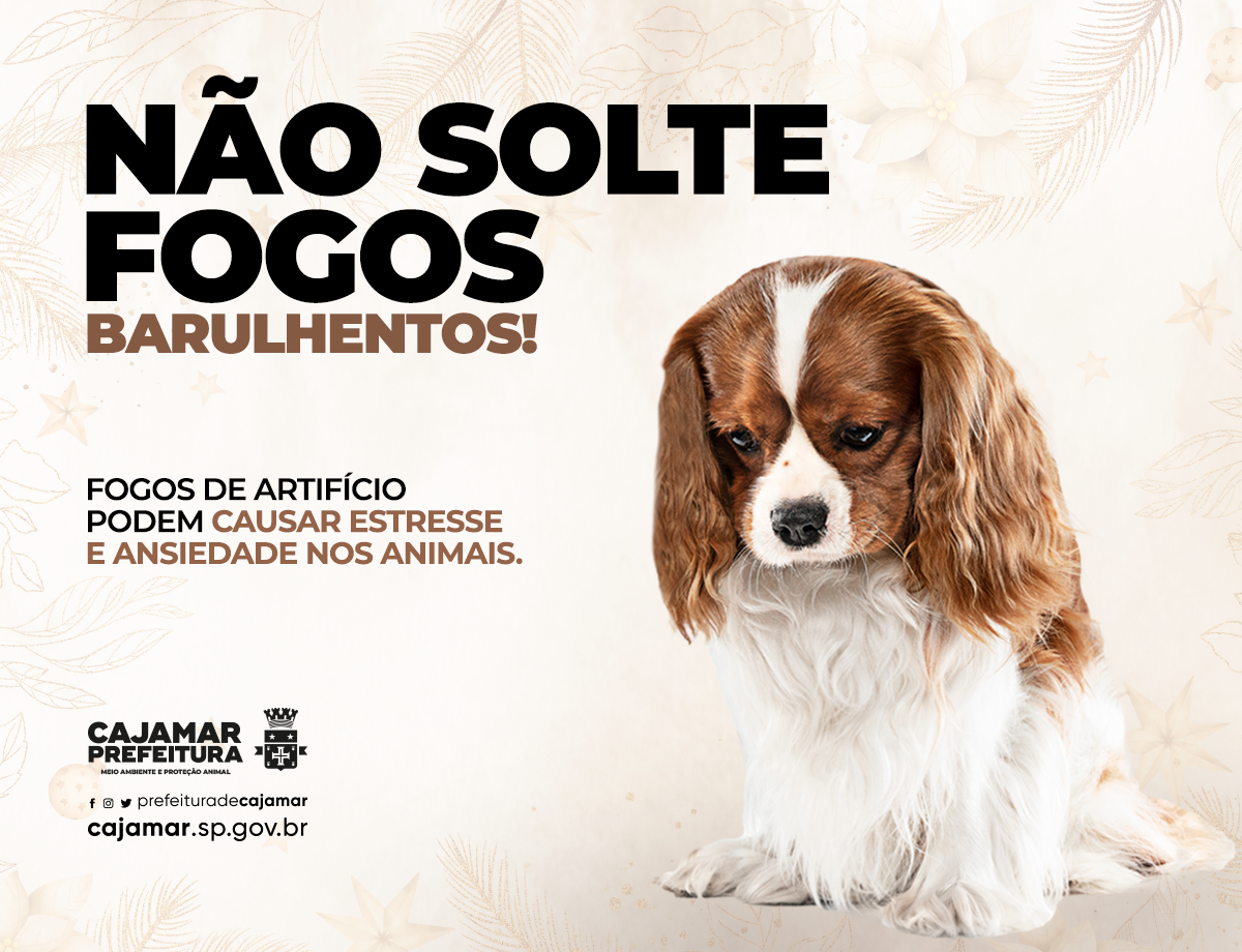 Animal Bonito Com Fogos De Artifício Que Apreciam O Jogo Do Vetor