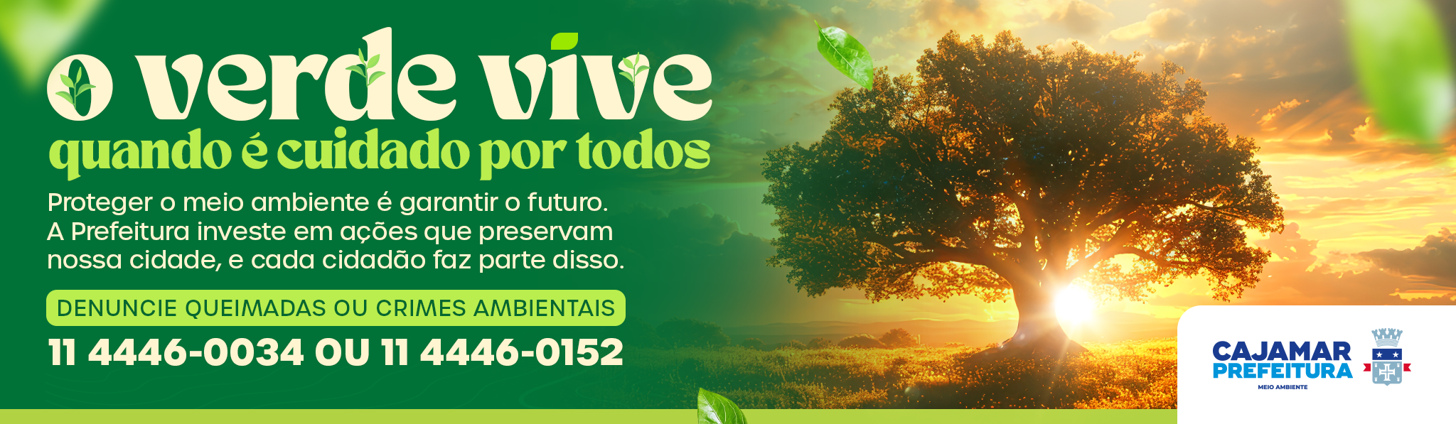 O verde vive quando é cuidado por todos